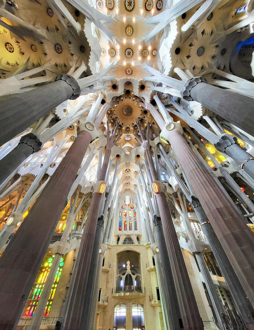 Sagrada Familia interior showing tree-like columns and stained glass